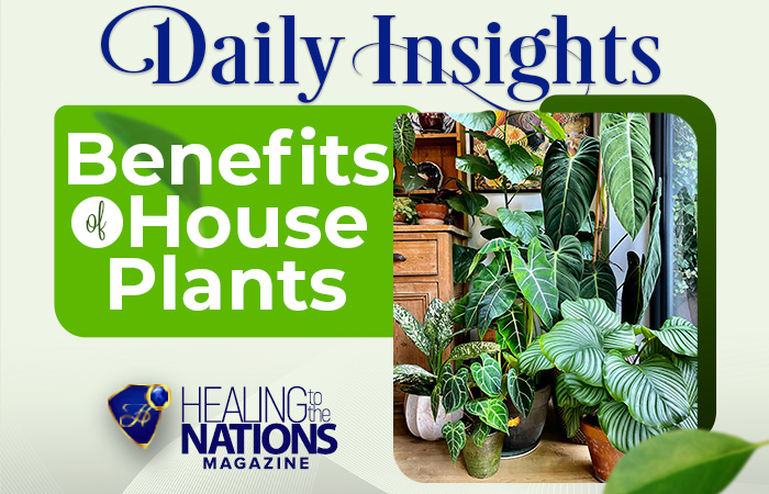 BENEFITS OF HOUSEPLANTS